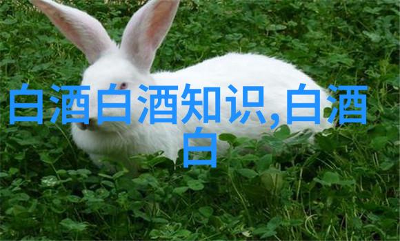 茅台酒预计2024年营收利润双位数增长