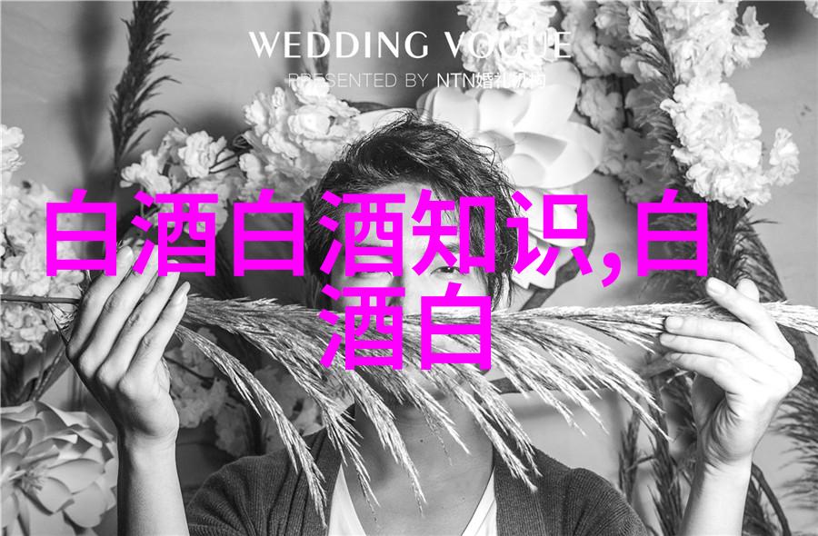 节日庆典用酒推荐200元左右有哪些适合节日气氛的酒