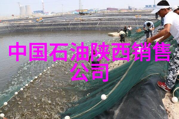 132万瓶市监总局在全国统一销毁特供酒